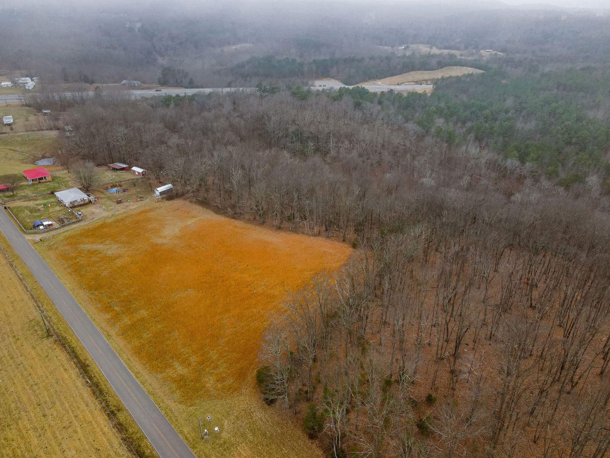 0 Captain Carter Road Spencer, TN 38585 - Photo 9 of 43 Gallery Image 9