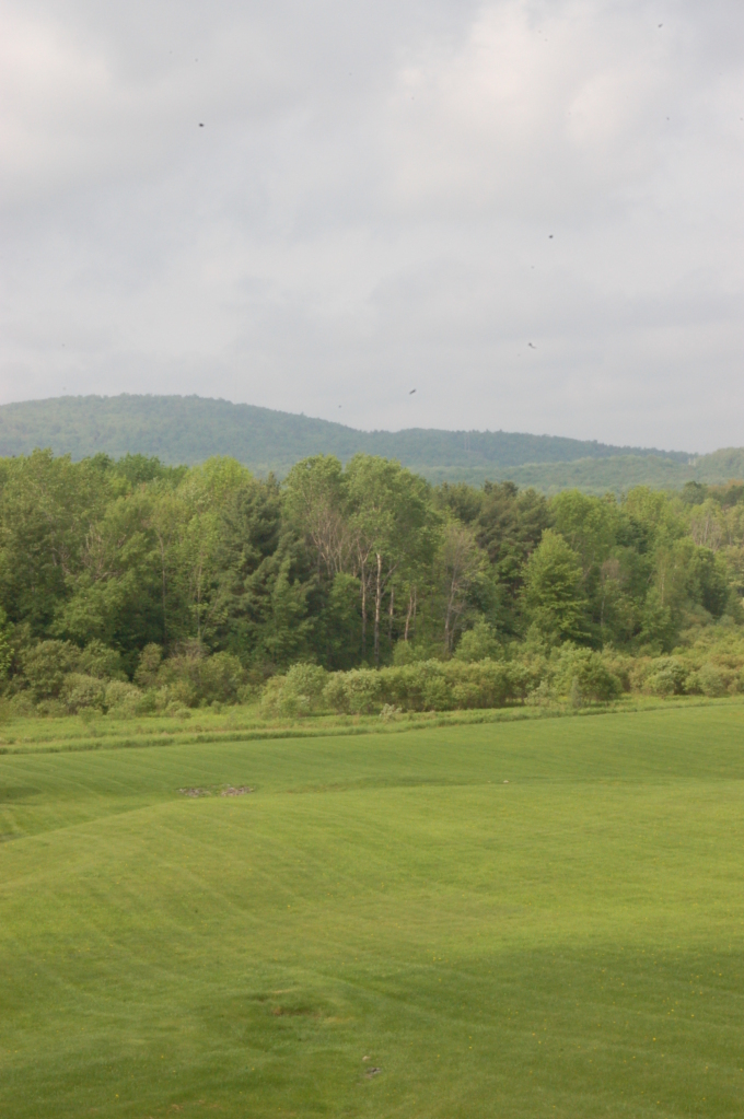 340 Red Barn Road Dalton, MA 01226 - Photo 3 of 17 Mountain Views