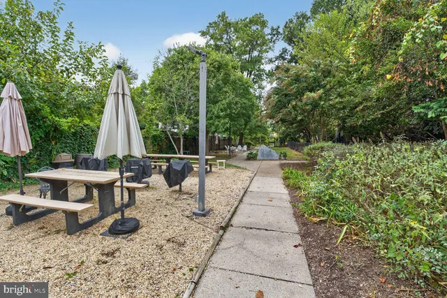 a view of a sitting area with trees in a patio