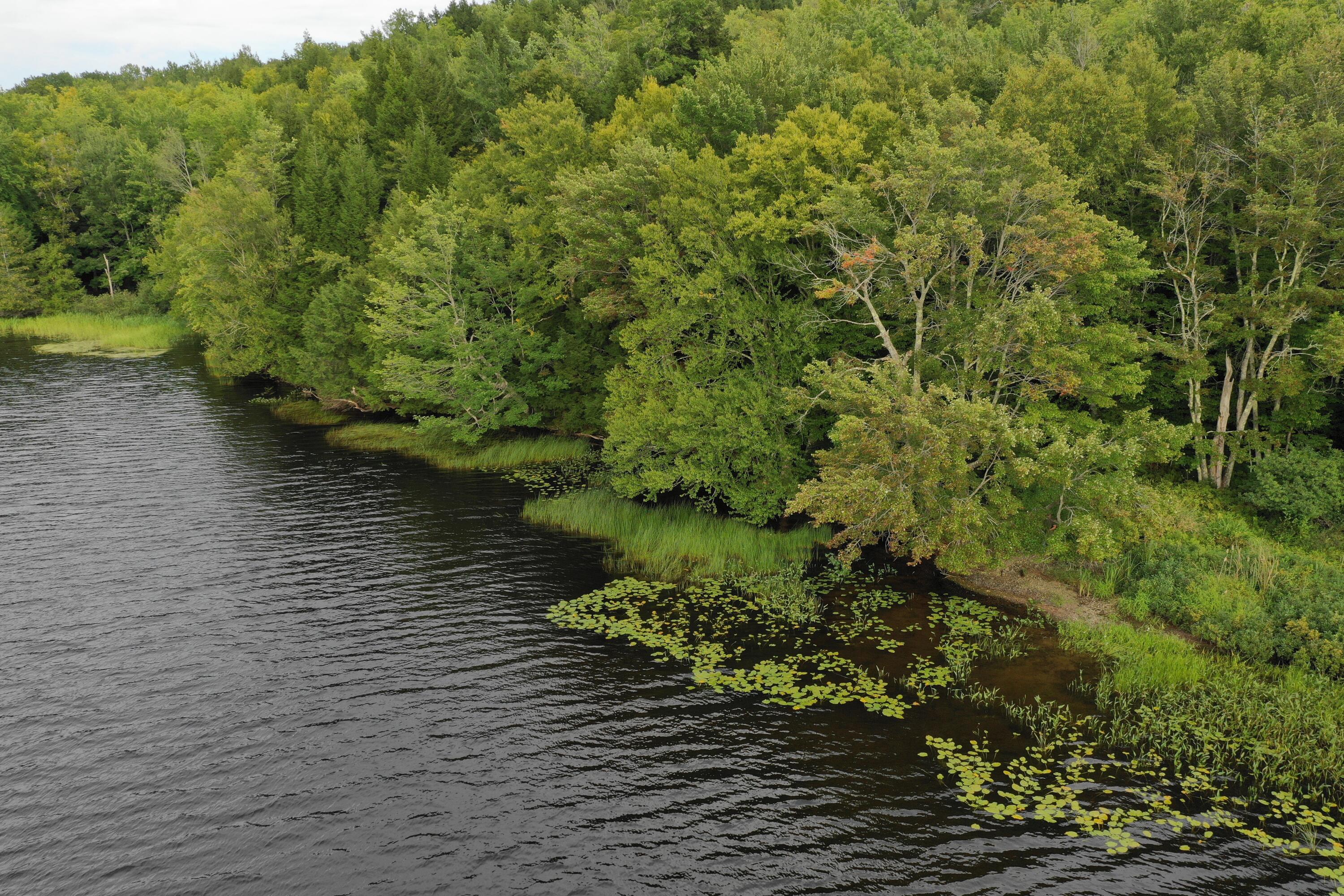 1 Goosepecker Ridge Road Montville, ME 04941 - Photo 7 of 11 DJI_0014