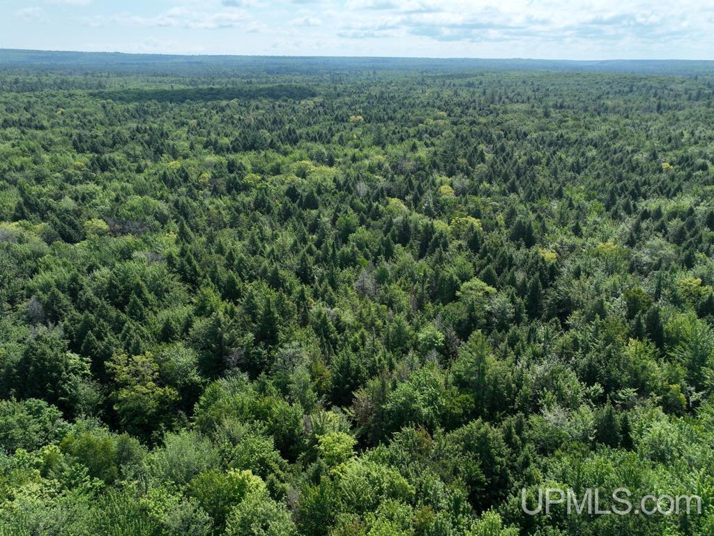 0 Peter White Road Au Train, MI 49806 - Photo 3 of 12