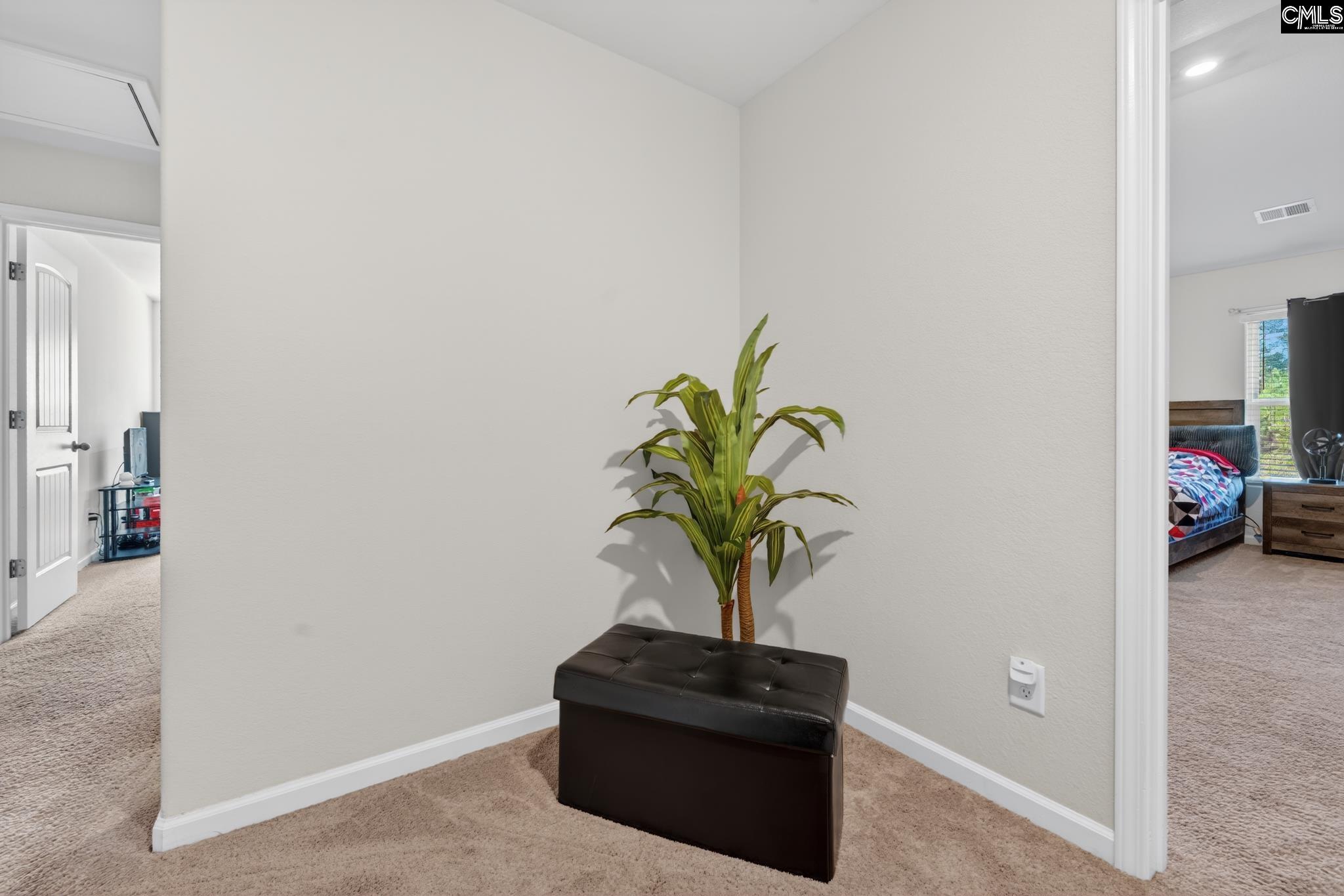 111 Sundew Road Elgin, SC 29045 - Photo 20 of 35