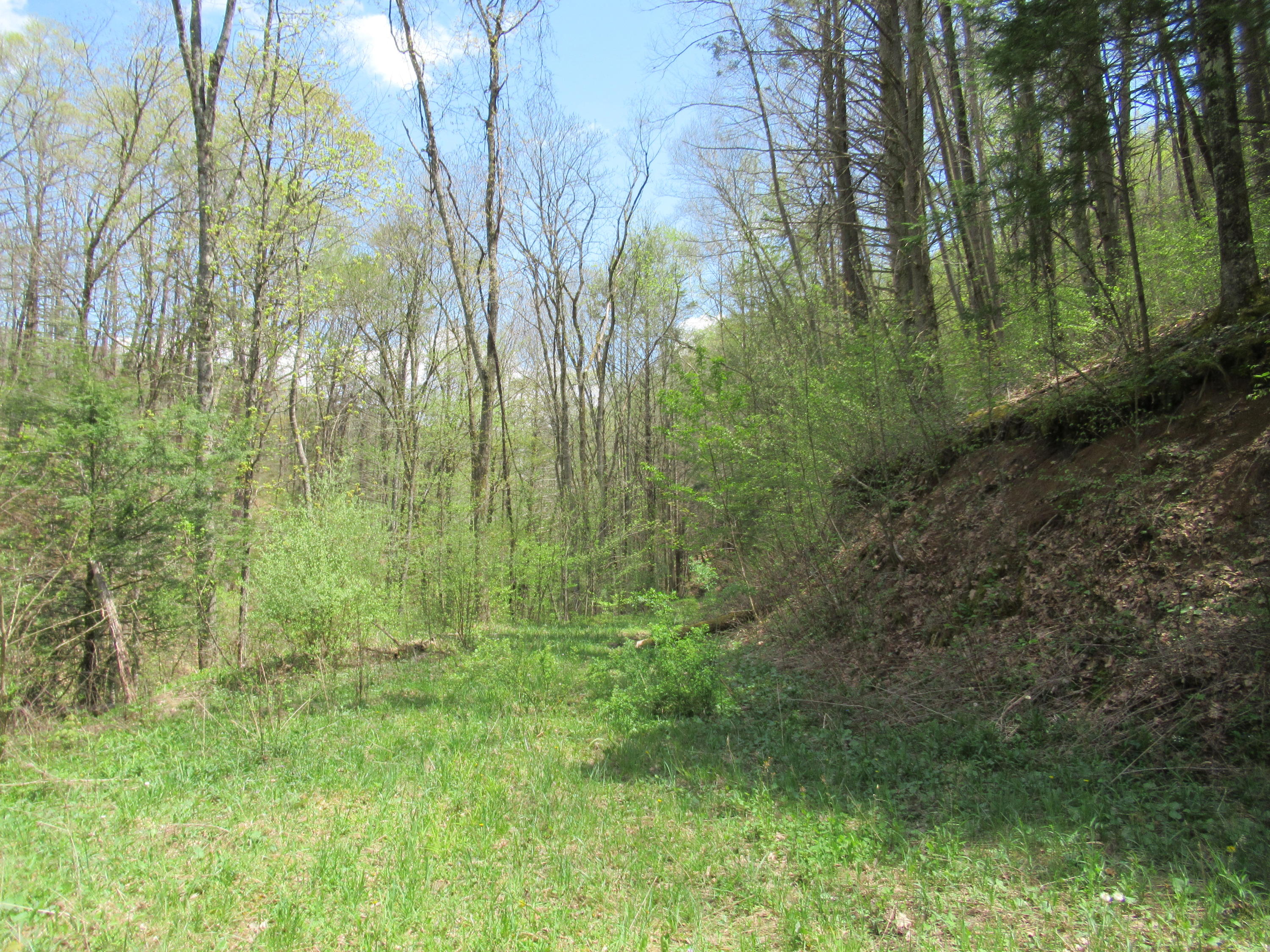 Fitzwater Branch Road Renick, WV 24966 - Photo 9 of 18 Gallery Image 9