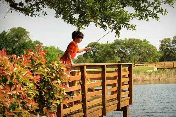 an aerial view of residential houses with outdoor space and trees