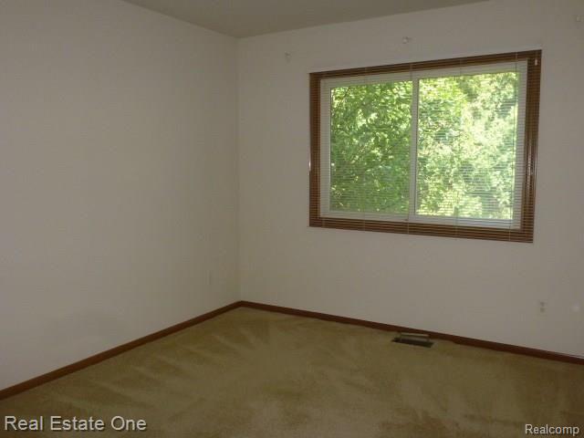 445 Mayapple Court Rochester, MI 48307 - Photo 27 of 46 mayapple 050.jpg