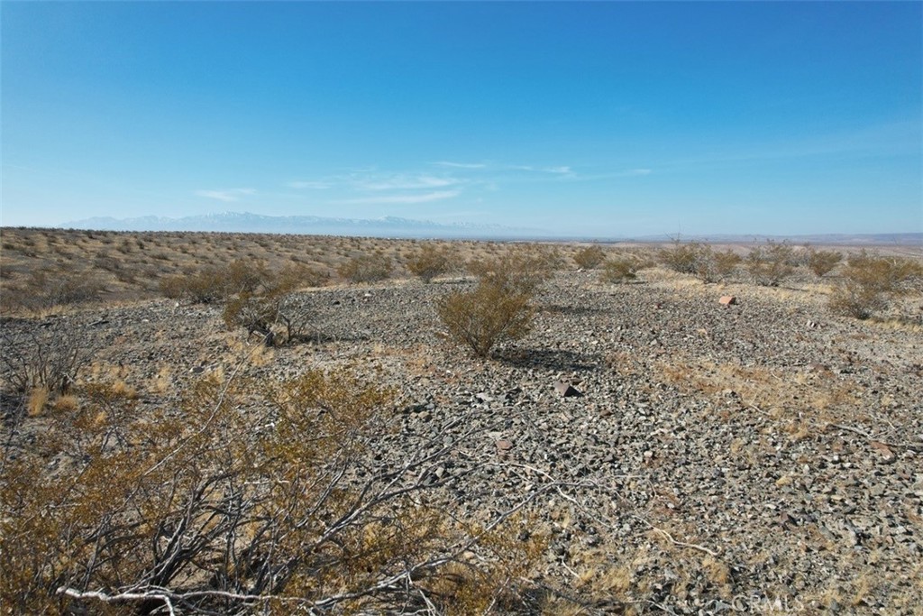 2 South Pipeline Road Oro Grande, CA 92368 - Photo 14 of 15 a view of lot of trees