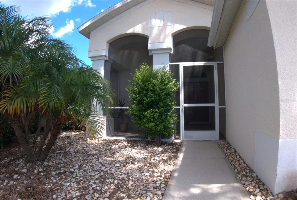 12633 Early Run Lane Riverview, FL 33578 - Photo 2 of 44 a view of backyard with potted plants