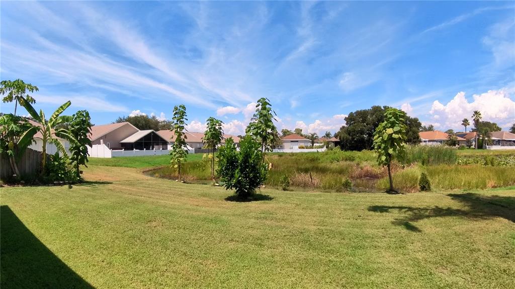 12633 Early Run Lane Riverview, FL 33578 - Photo 31 of 44 a view of a water pond