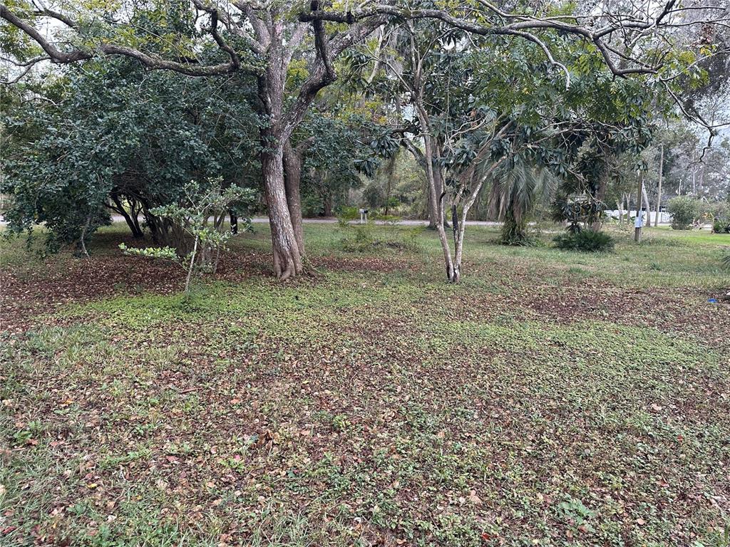 17479 Tavern Road Brooksville, FL 34604 - Photo 2 of 10 a backyard of a house with lots of green space
