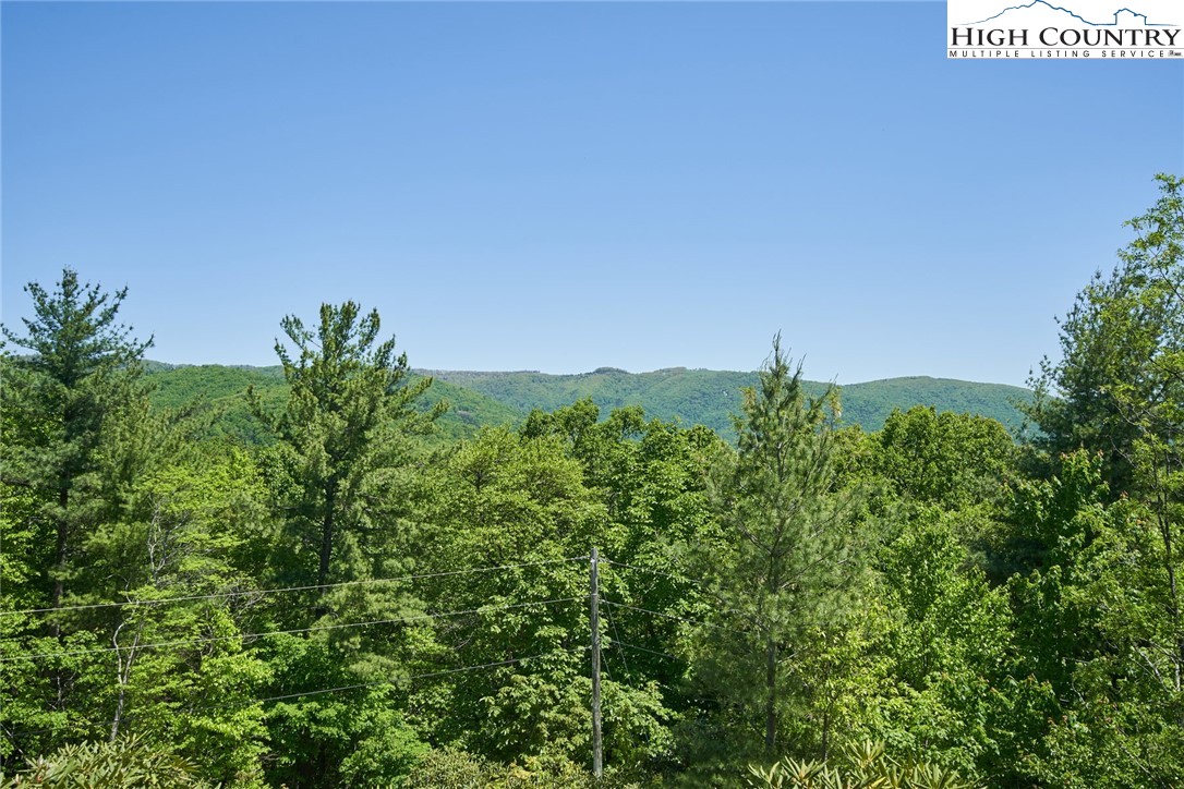 9349 Headwaters Road Lenoir, NC 28645 - Photo 15 of 48 Gallery Image 15