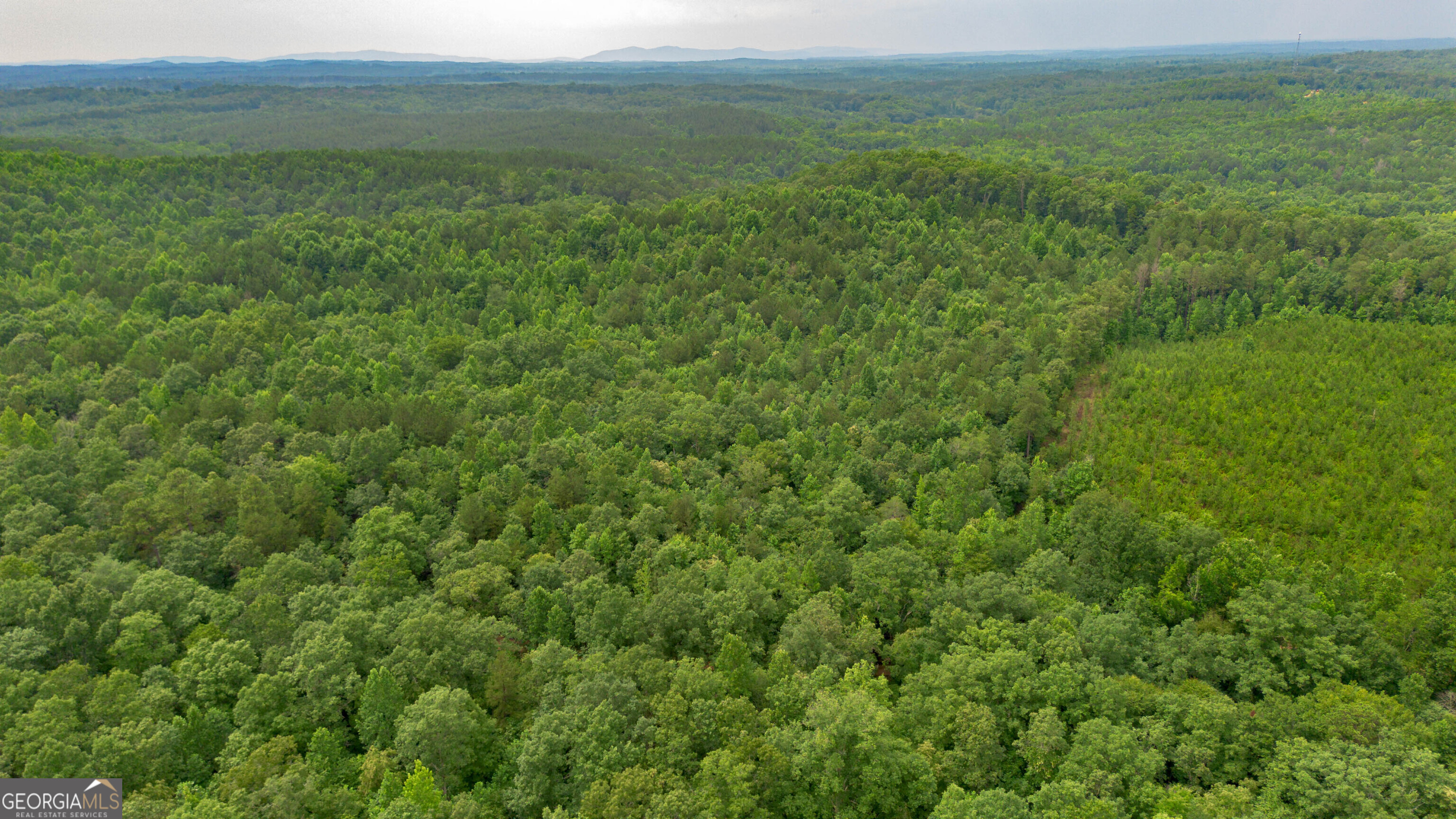 0 Vineyard Fruithurst, AL 36262 - Photo 15 of 21