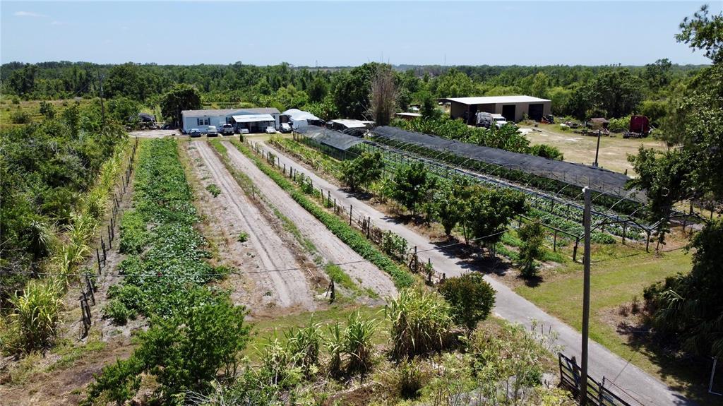 a view of a garden with a lake view