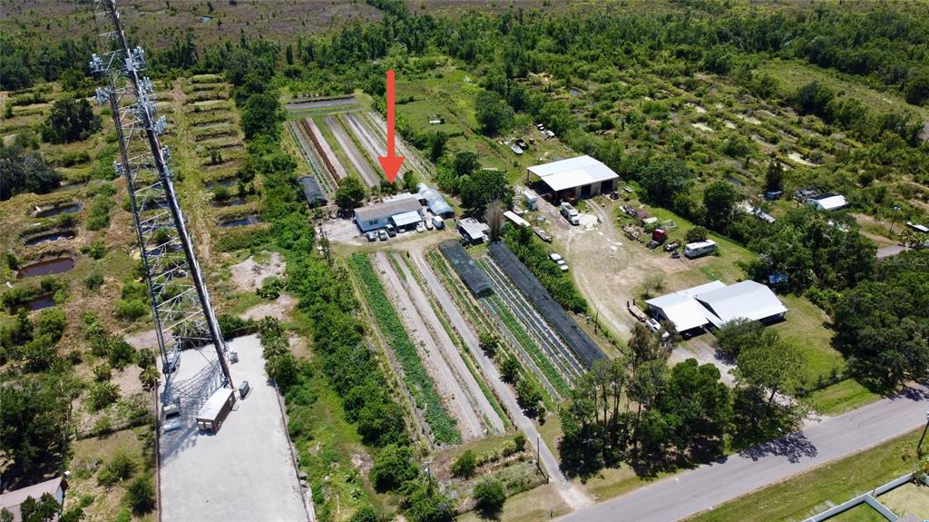 11101 Sumner Road Wimauma, FL 33598 - Photo 22 of 22