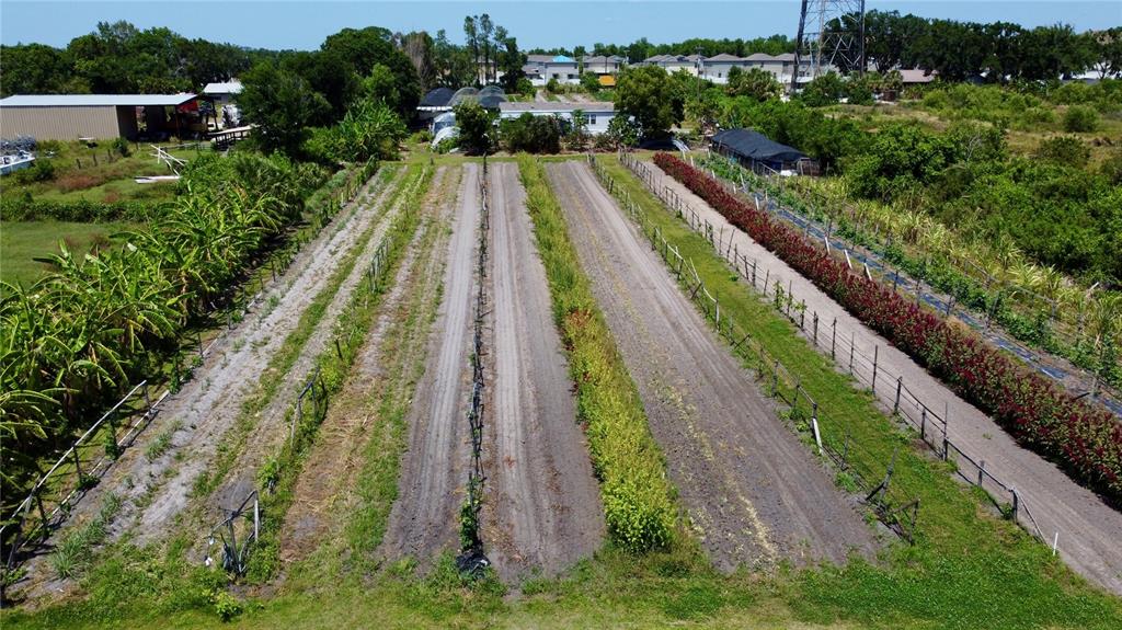 11101 Sumner Road Wimauma, FL 33598 - Photo 6 of 22 a view of a yard with an umbrella