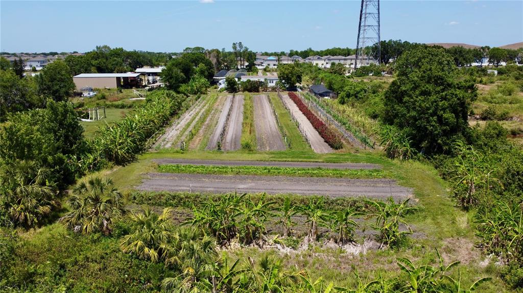 11101 Sumner Road Wimauma, FL 33598 - Photo 7 of 22 a view of outdoor space and yard
