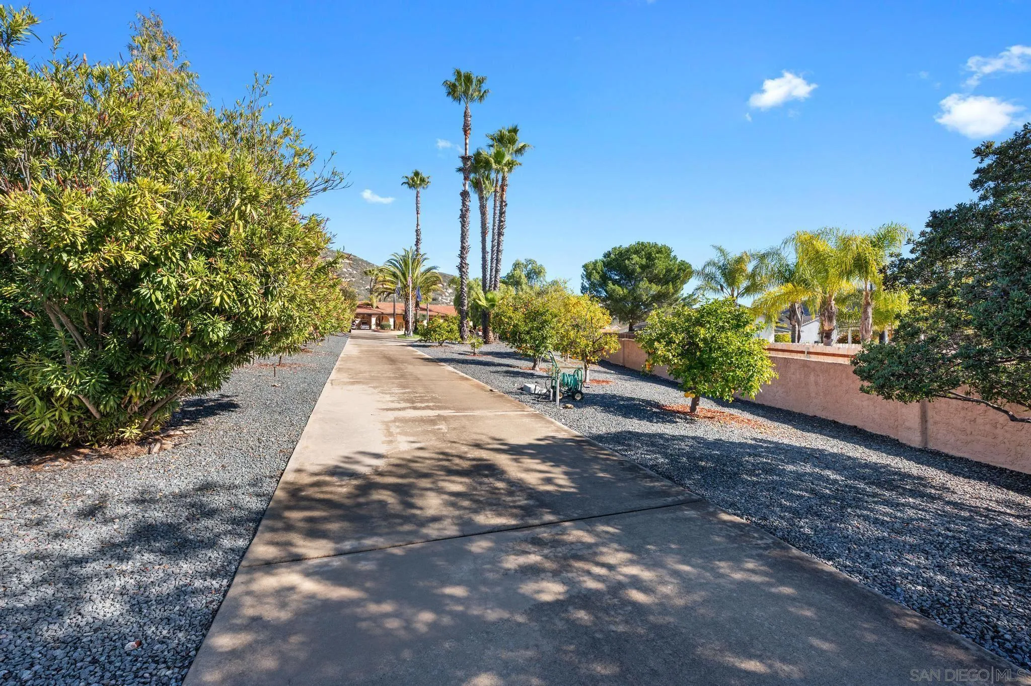 24572 Rutherford Road Ramona, CA 92065 - Photo 3 of 62 a view of a backyard of a house