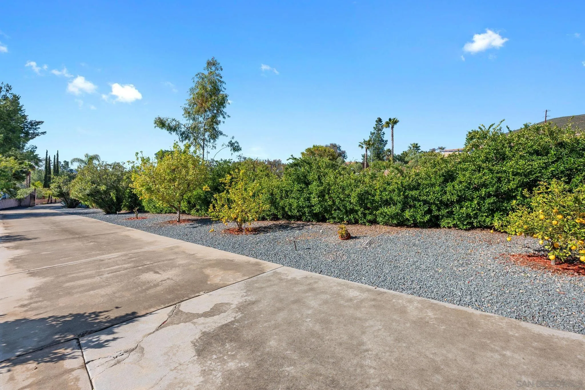 24572 Rutherford Road Ramona, CA 92065 - Photo 5 of 62 a view of a backyard of a house