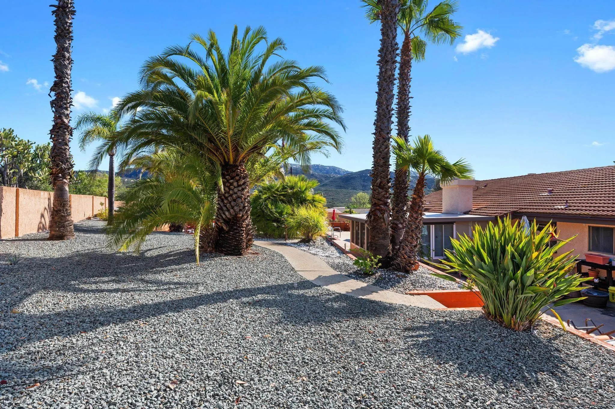 24572 Rutherford Road Ramona, CA 92065 - Photo 54 of 62 a palm tree sitting in front of a house with a garden