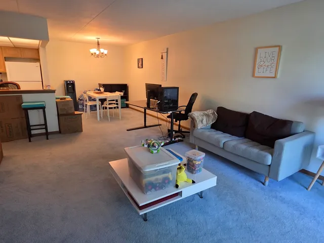 $230,000 | 475 Plum Creek Drive, Unit 206, Wheeling, IL 60090