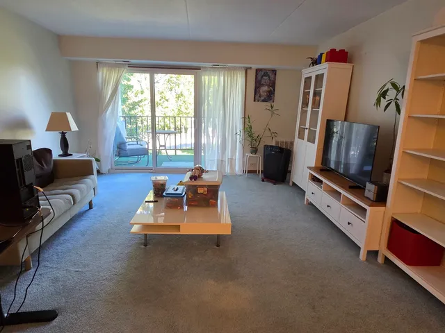 $230,000 | 475 Plum Creek Drive, Unit 206, Wheeling, IL 60090