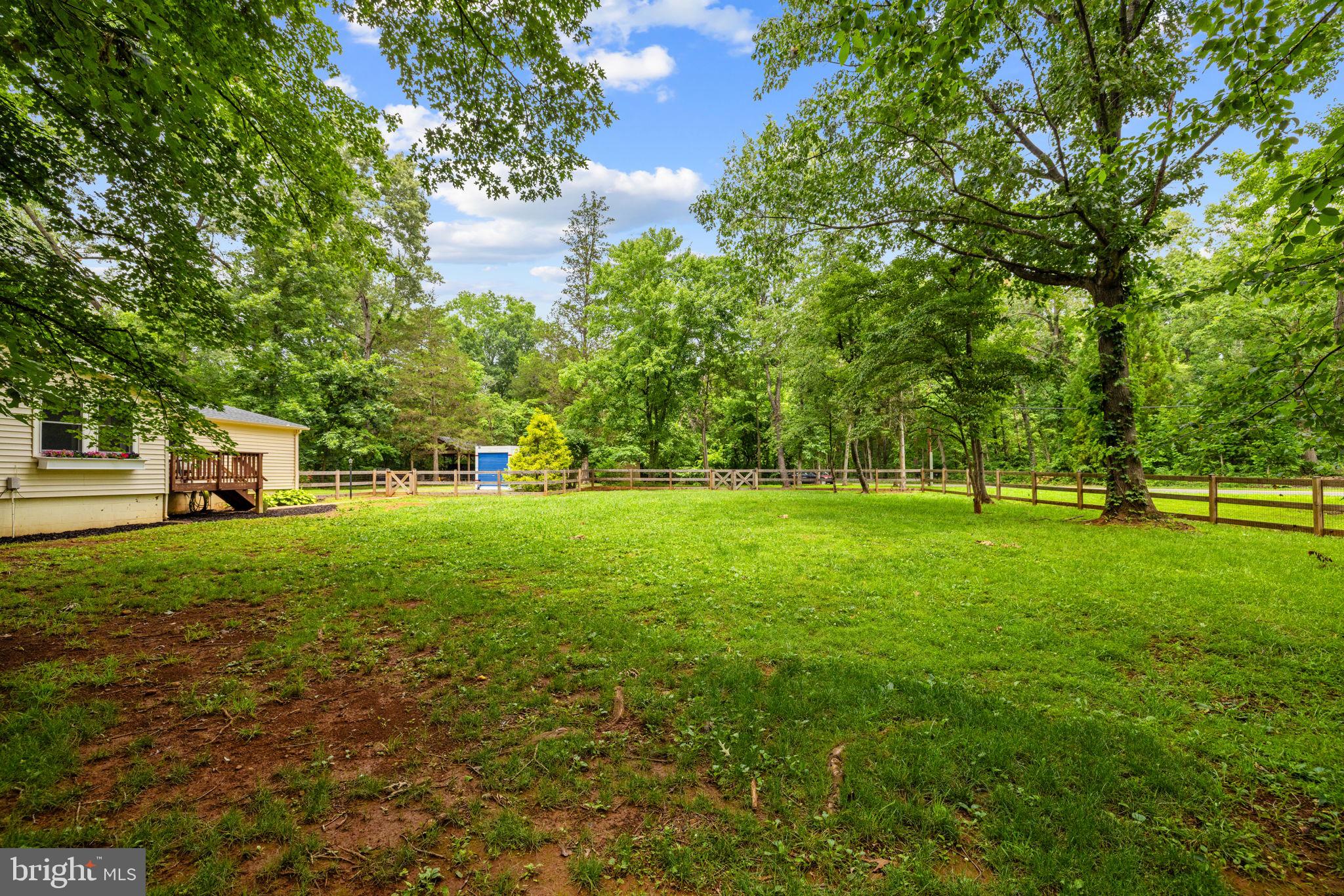 9448 Green Road Midland, VA 22728 - Photo 76 of 91 a view of a park with trees and grass