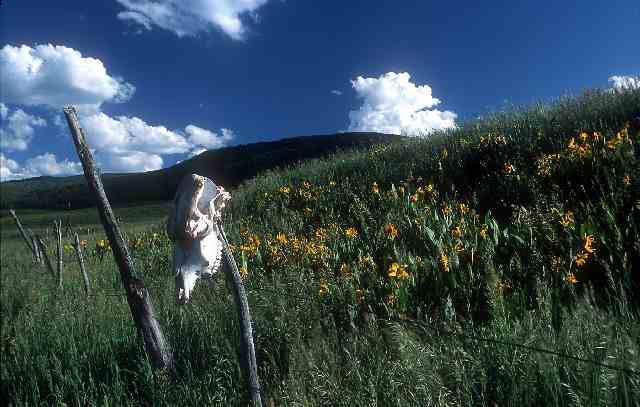 111 Sopris Creek Road, Unit ROAD Basalt, CO 81621 - Photo 1 of 4 Primary Photo