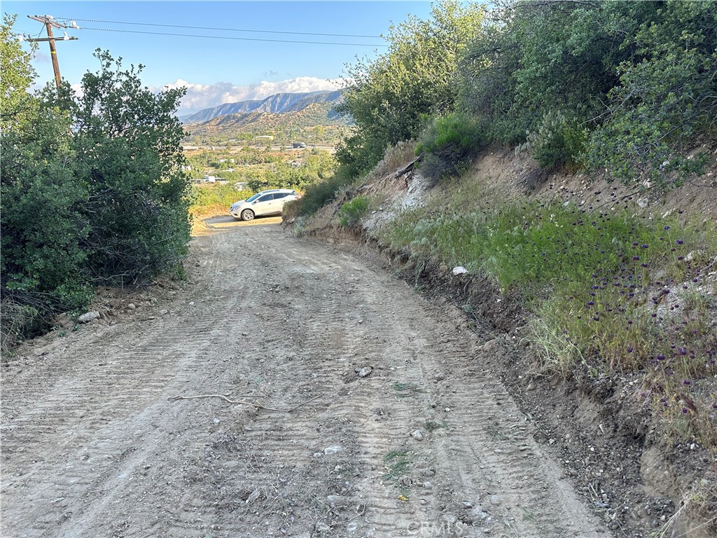 0 Centola Road Phelan, CA 92371 - Photo 1 of 1 a view of a yard with an trees