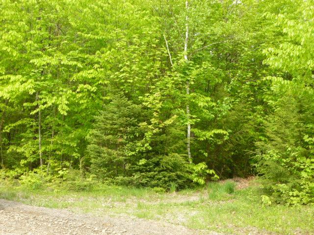 Lot 1 Nicolin Road Ellsworth, ME 04605 - Photo 2 of 9 Photo