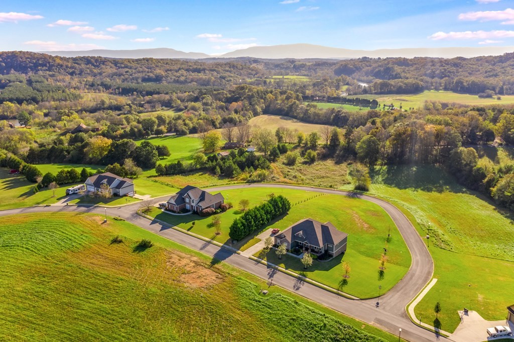 309 Rochelle Circle Northeast Charleston, TN 37310 - Photo 8 of 13 Gallery Image 8