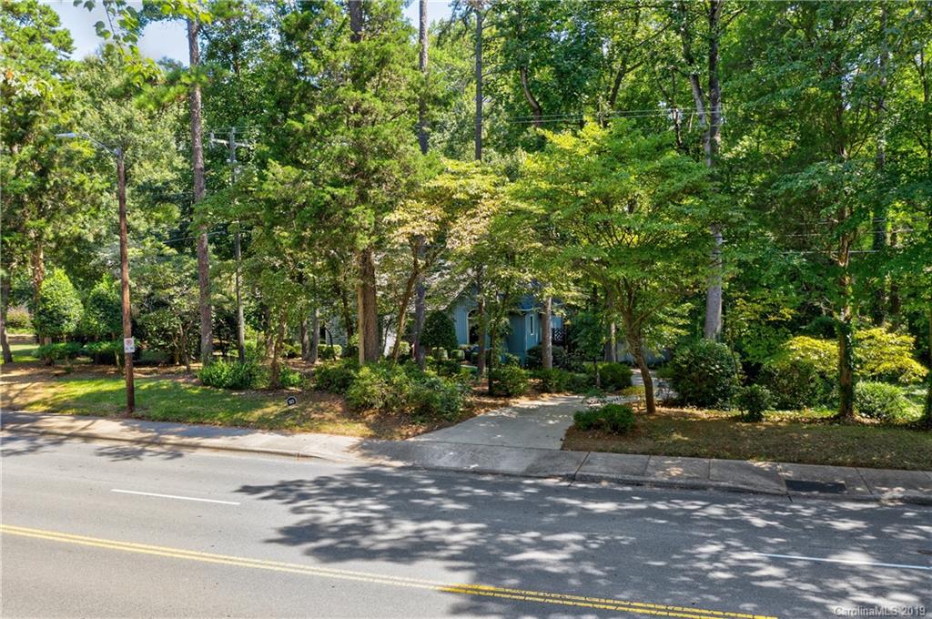 5123 Randolph Road Charlotte, NC 28211 - Photo 3 of 28 a view of a yard with plants and trees
