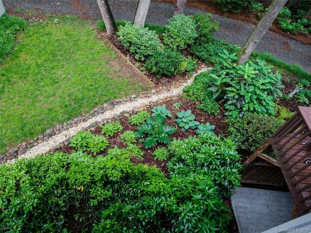 5123 Randolph Road Charlotte, NC 28211 - Photo 28 of 28 a view of a garden with plants and large trees
