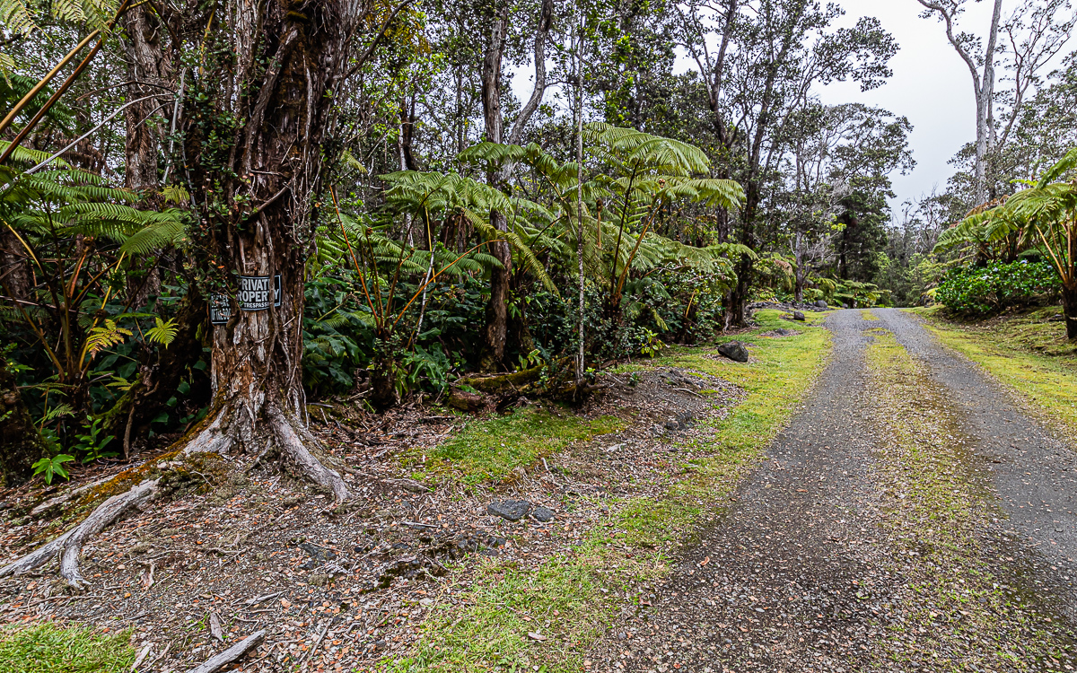 19-4124 Lot Road, Unit 3 Volcano, HI 96785 - Photo 2 of 8 a view of a garden with large trees