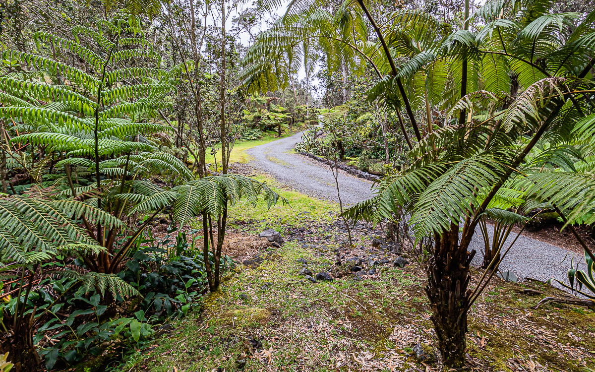 19-4124 Lot Road, Unit 3 Volcano, HI 96785 - Photo 4 of 8 a view of a backyard