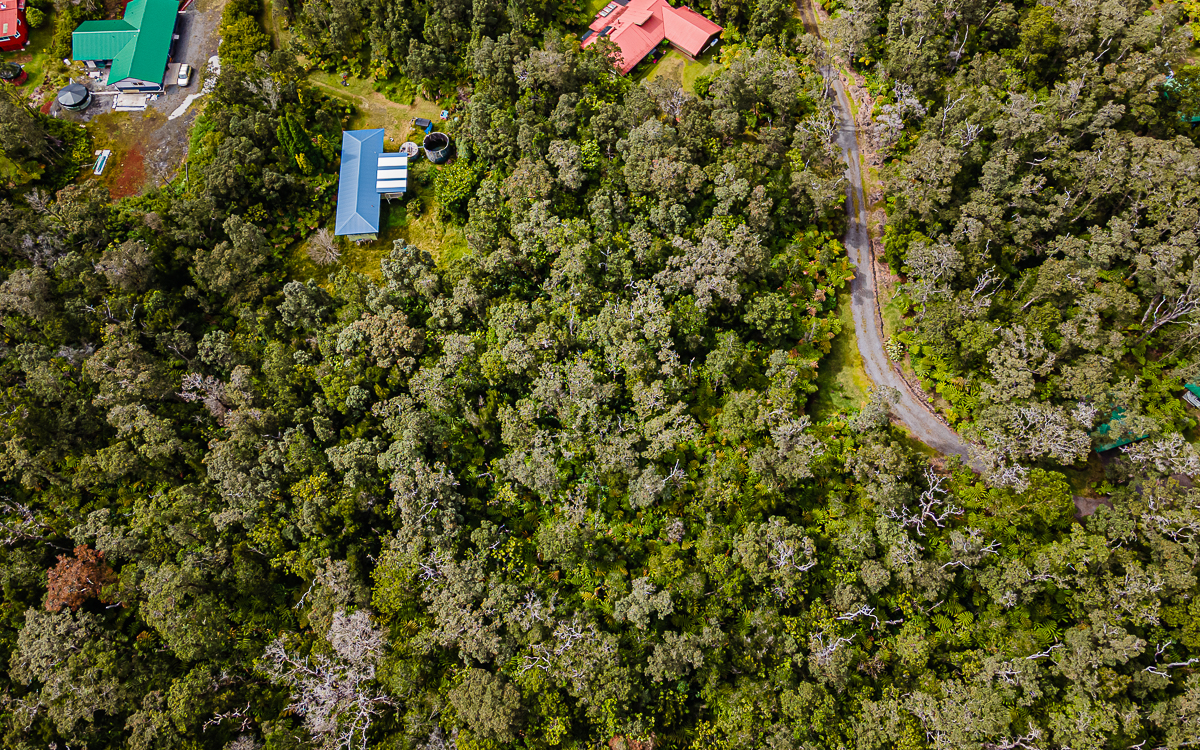 19-4124 Lot Road, Unit 3 Volcano, HI 96785 - Photo 7 of 8 a picture of a tree