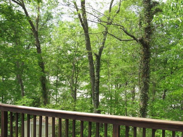 379 Mystic View Road Monticello, KY 42633 - Photo 4 of 24 Additional Photo
