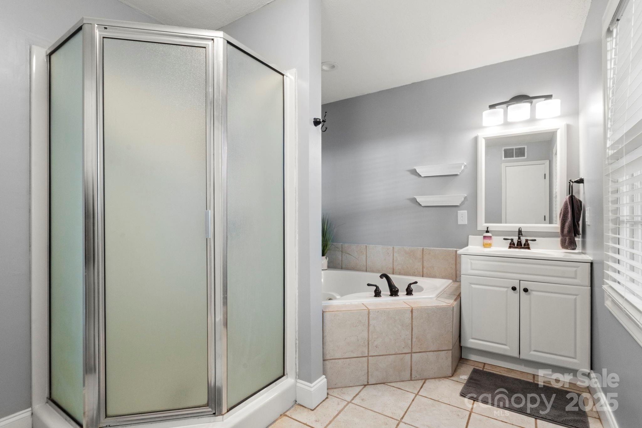 893 Ragin Lane Rock Hill, SC 29732 - Photo 19 of 29 a bathroom with a bathtub a sink a vanity and a mirror