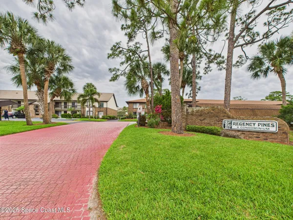 a view of street with palm trees