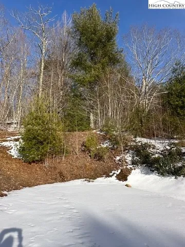 a view of outdoor space and yard