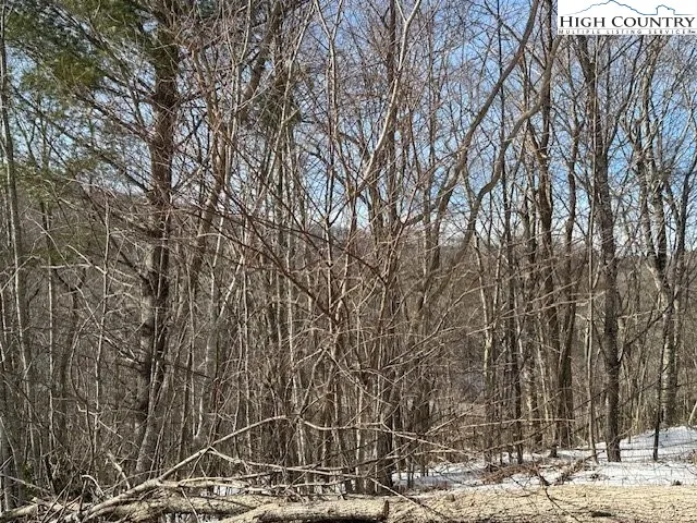a view of a covered with snow in the background