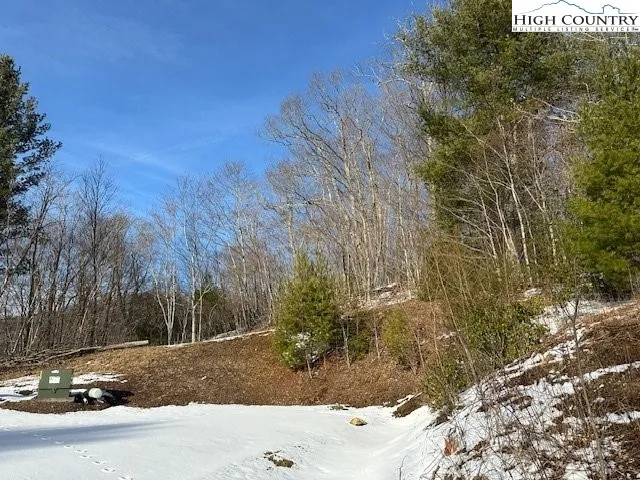 a view of a backyard of a house