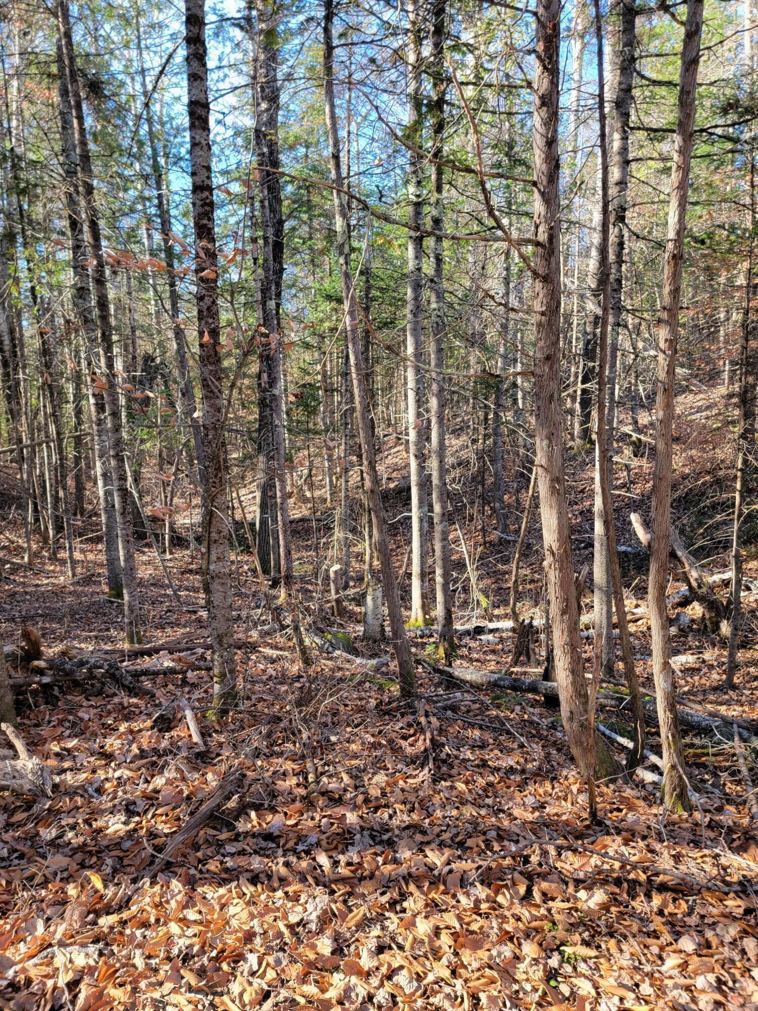 0 East Road Bradford, ME 04410 - Photo 4 of 32 20221102_104726