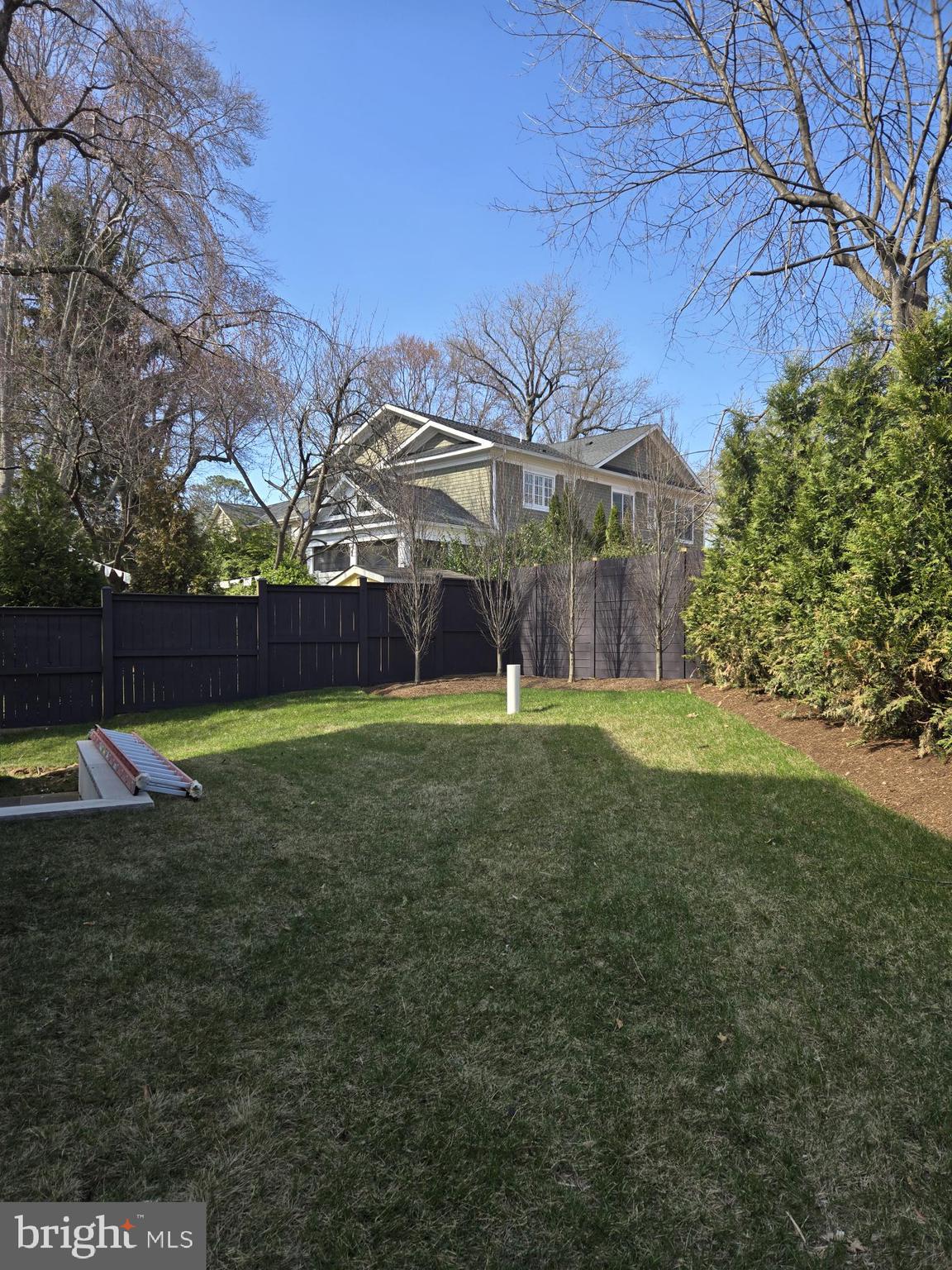 7005 Exfair Road Bethesda, MD 20814 - Photo 21 of 79 Charming backyard retreat awaits.