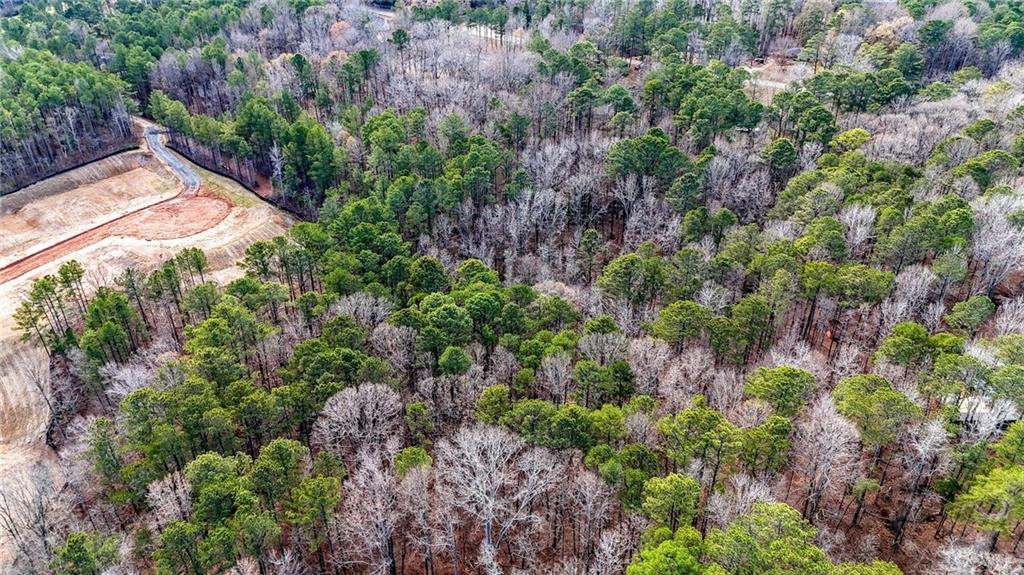 6420 White Mill Road Fairburn, GA 30213 - Photo 12 of 23