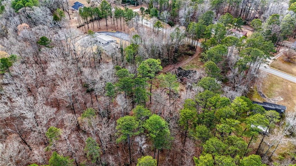 6420 White Mill Road Fairburn, GA 30213 - Photo 15 of 23 a view of a garden with large trees