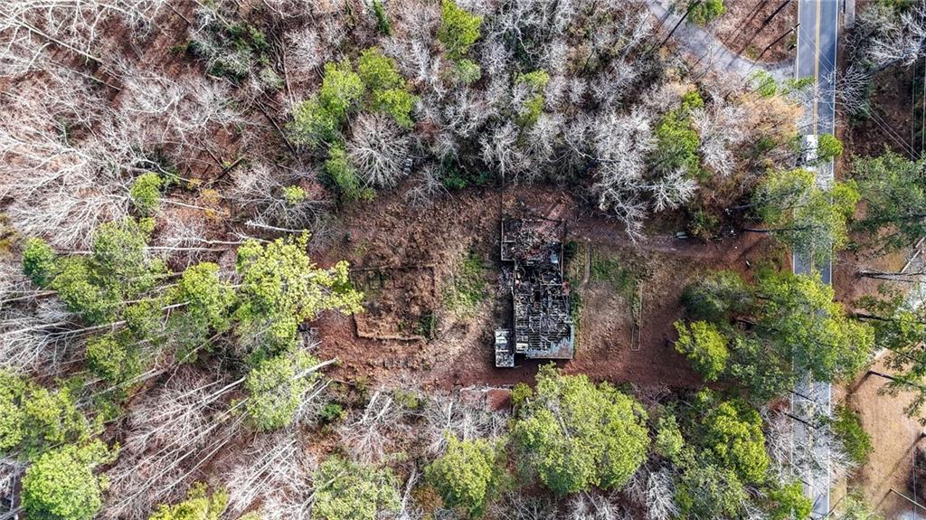 6420 White Mill Road Fairburn, GA 30213 - Photo 3 of 23 a view of a plants with a tree