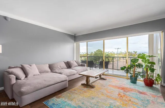a living room with furniture and a potted plant