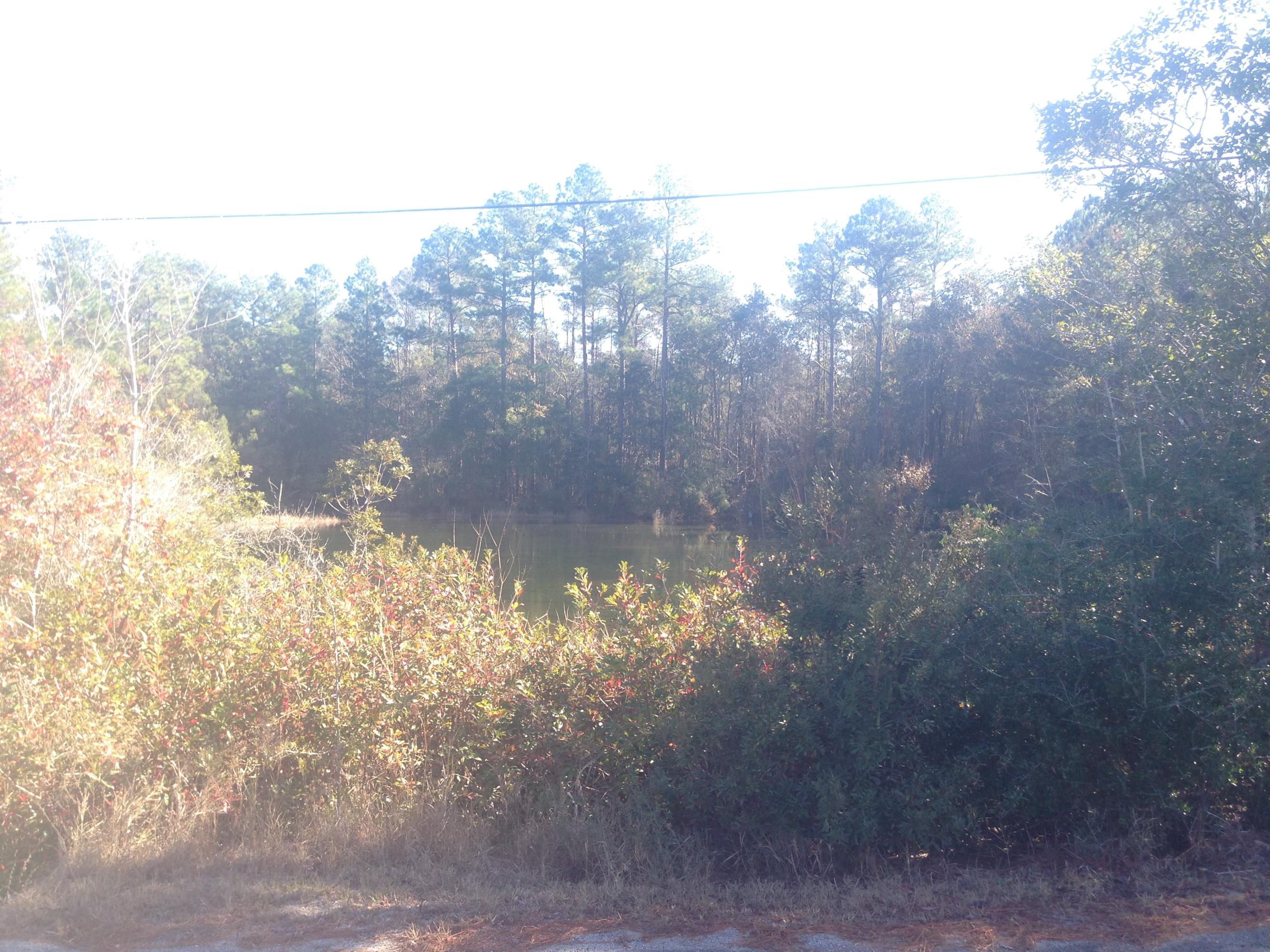 1030 Tallokas Road Crestview, FL 32536 - Photo 1 of 30