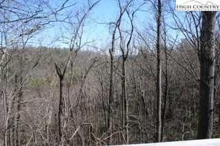 7472 Falcon Ridge Road Lenoir, NC 28645 - Photo 12 of 12 Gallery Image 12