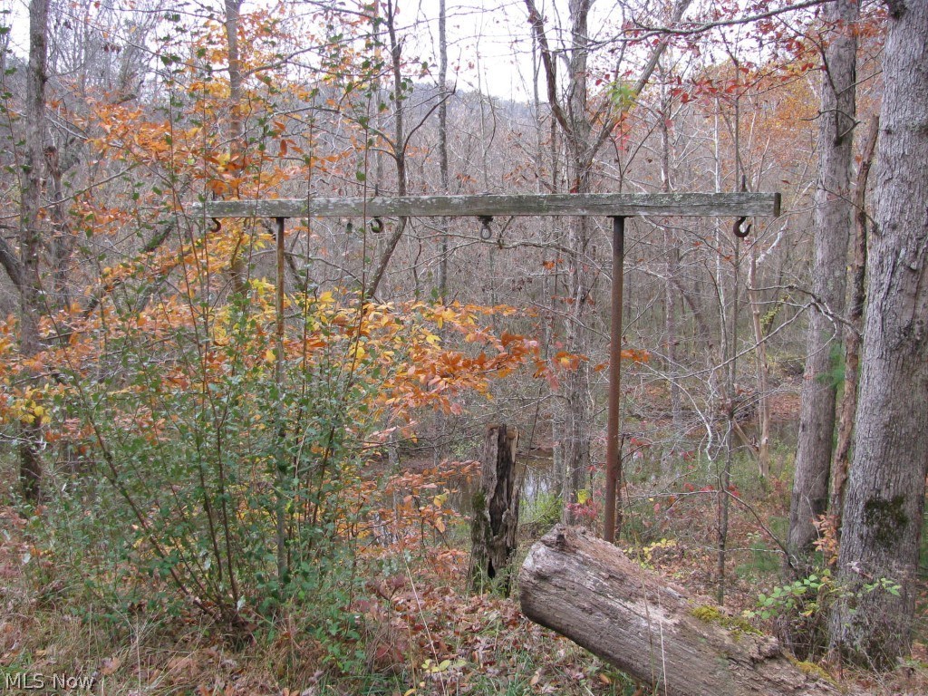 0 Bone Creek Road Berea, WV 26327 - Photo 9 of 21 Gallery Image 9