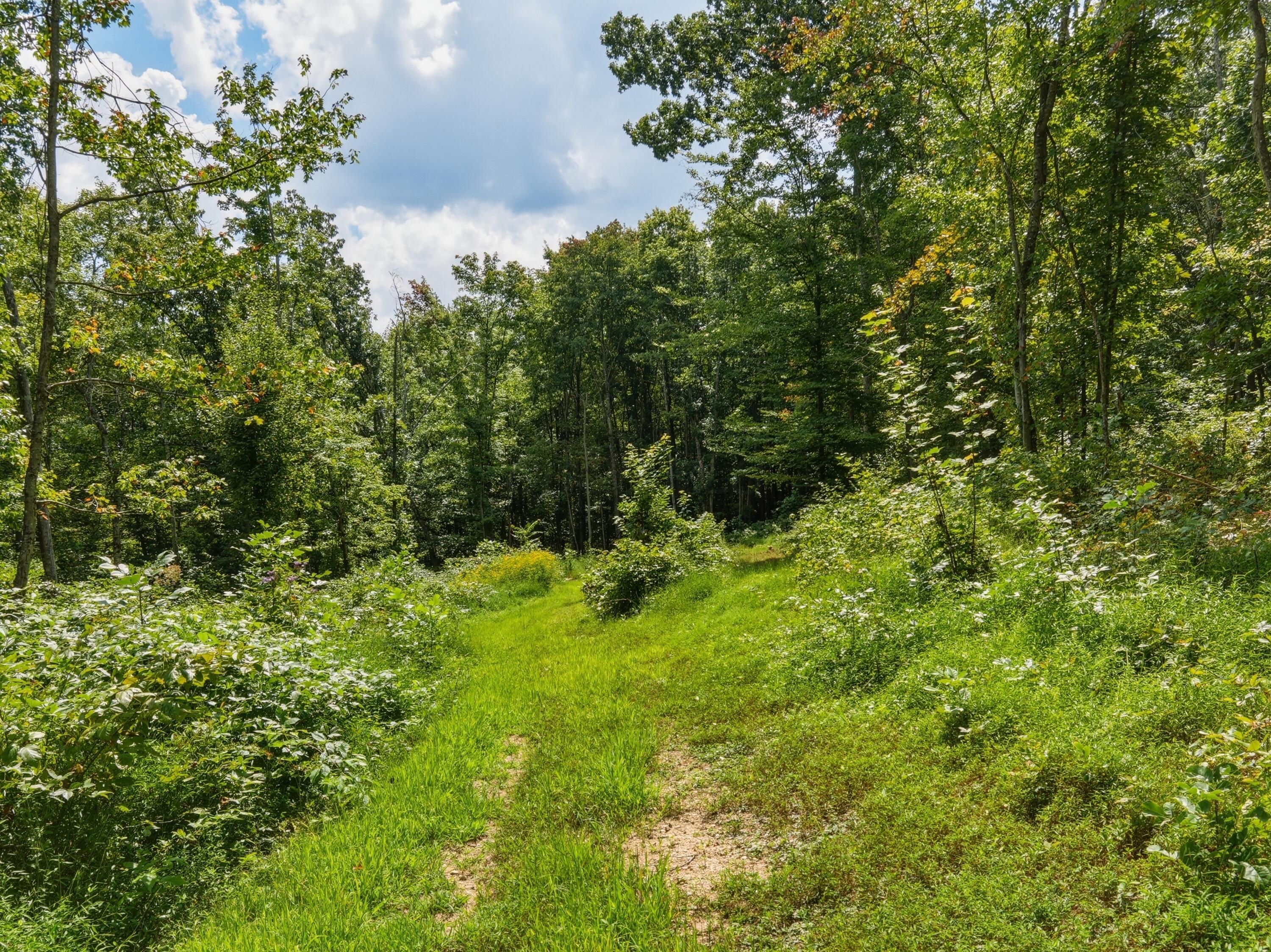 770 Strutt Road Piketon, OH 45661 - Photo 29 of 30 Trails Throughout the Property